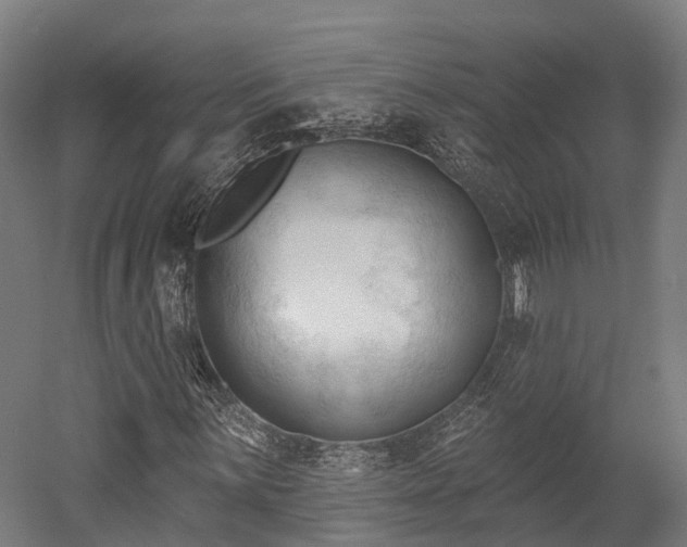 X0000052941059200507151637