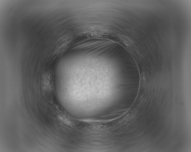 X0000052941060200507151637