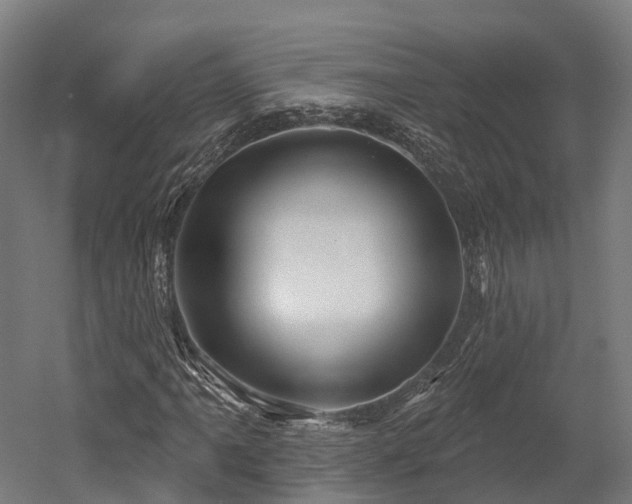 X0000052941061200507151637