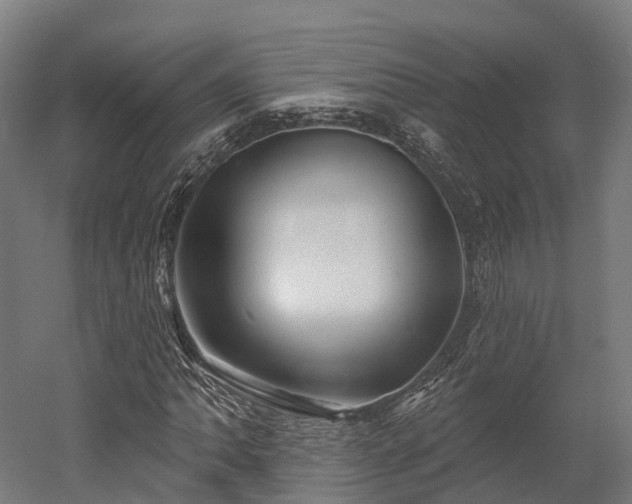 X0000052941062200507151637