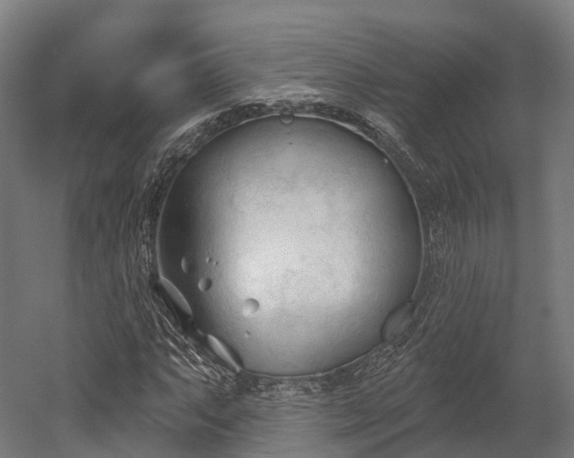 X0000052941063200507151637