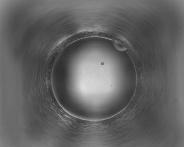 X0000052941064200507151637