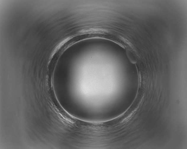 X0000052941066200507151637