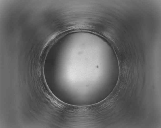 X0000052941067200507151637