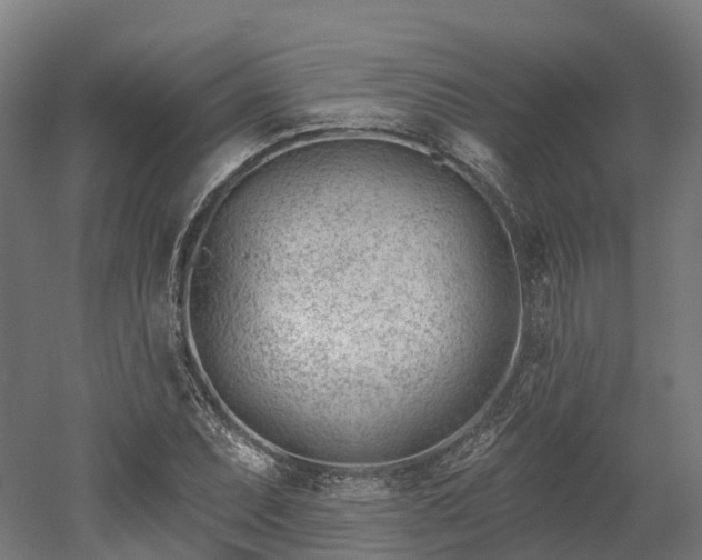 X0000052941071200507151637