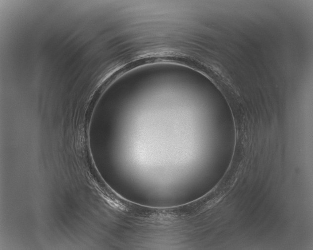 X0000052941073200507151637