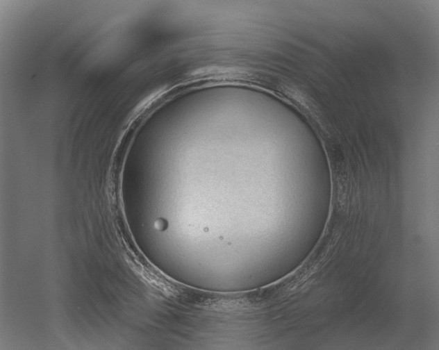 X0000052941074200507151637