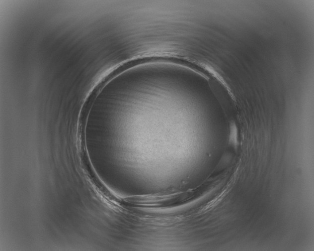 X0000052941077200507151637