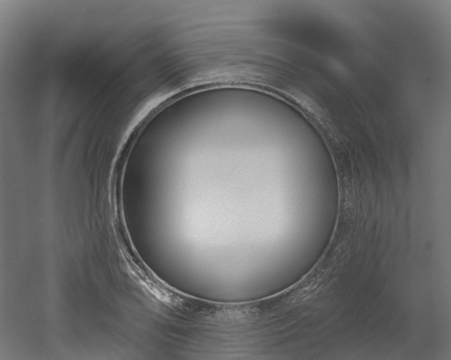 X0000052941078200507151637