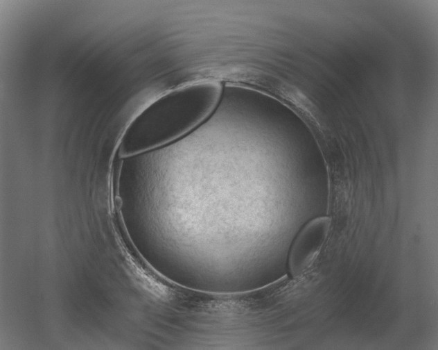 X0000052941079200507151637