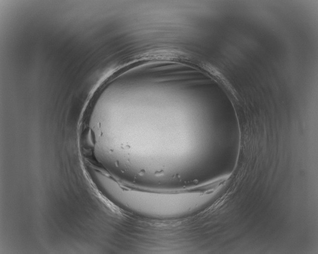 X0000052941083200507151637