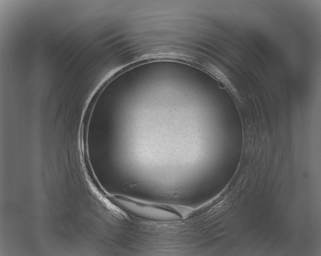 X0000052941084200507151637