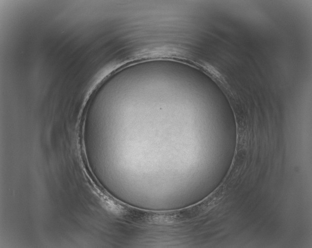 X0000052941086200507151637