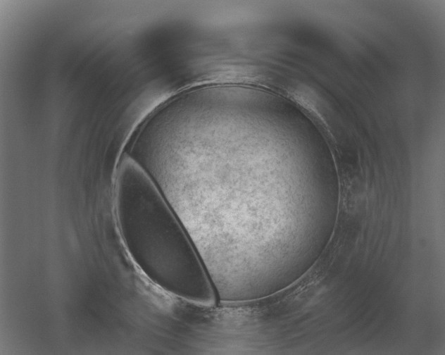 X0000052941087200507151637