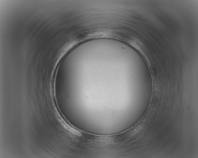 X0000052941090200507151637