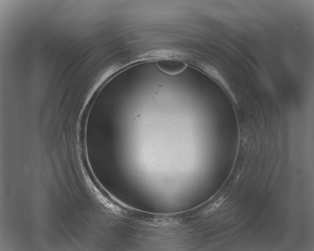 X0000052941091200507151637