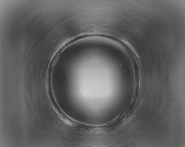 X0000052941093200507151636