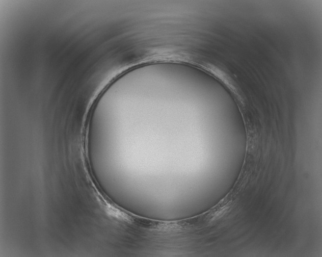 X0000052941094200507151636