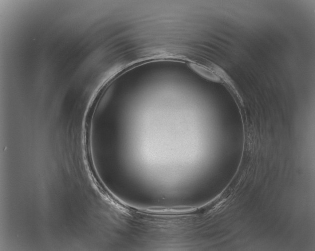 X0000052941096200507151636