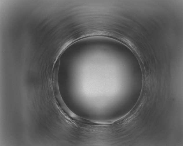 X0000052941097200507151636