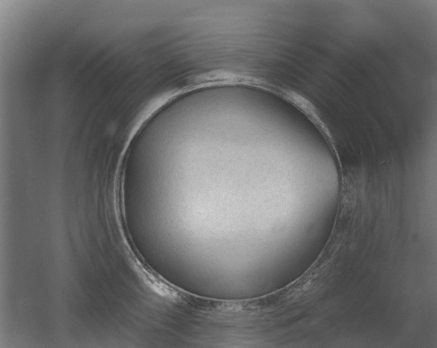 X0000052941098200507151636