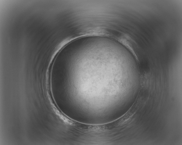 X0000052941099200507151636