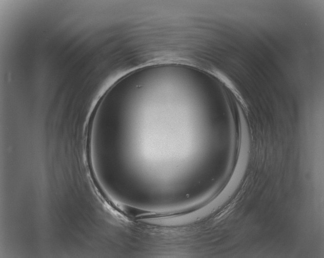 X0000052941102200507151636