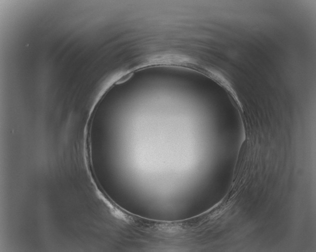 X0000052941103200507151636