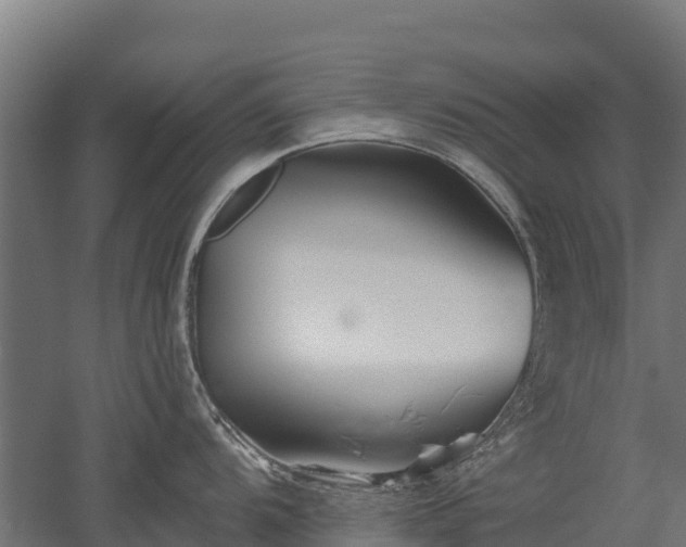 X0000052941104200507151636