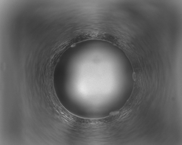 X0000052941105200507151635