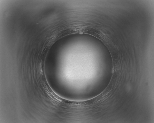 X0000052941106200507151636