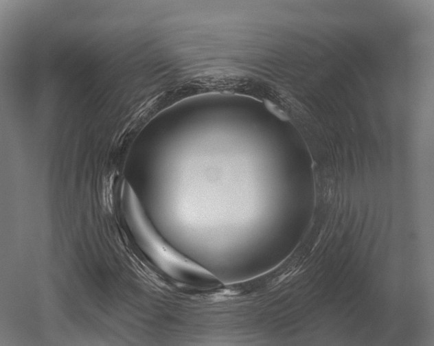 X0000052941108200507151636