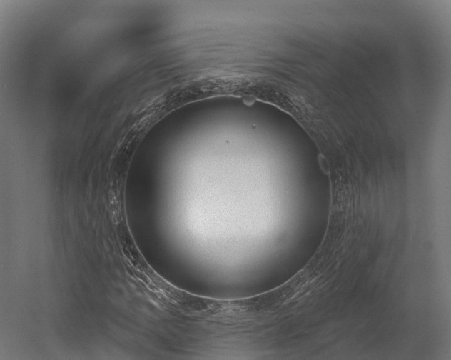 X0000052941109200507151636