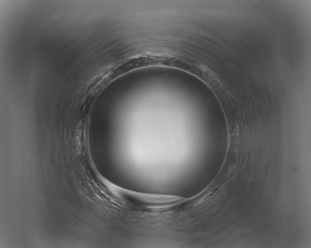 X0000052941110200507151636