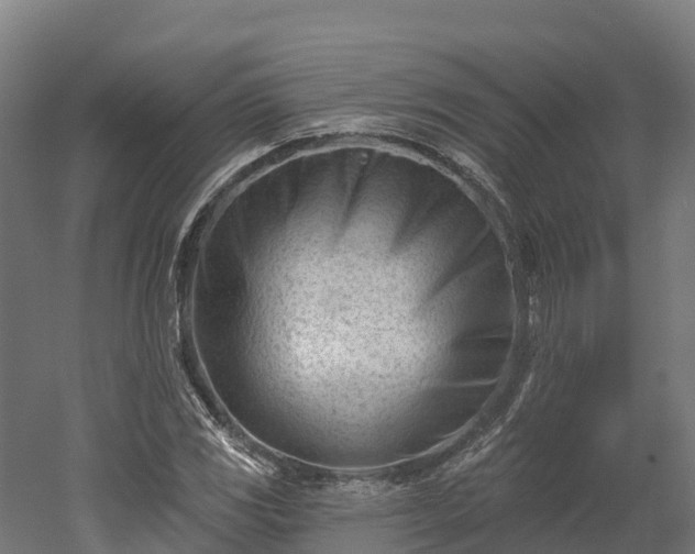 X0000052941117200507151636