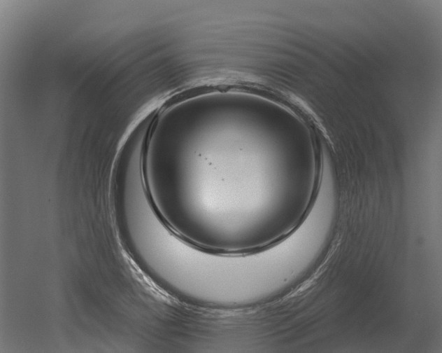 X0000052941122200507151636