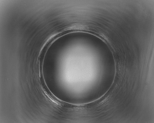 X0000052941123200507151636