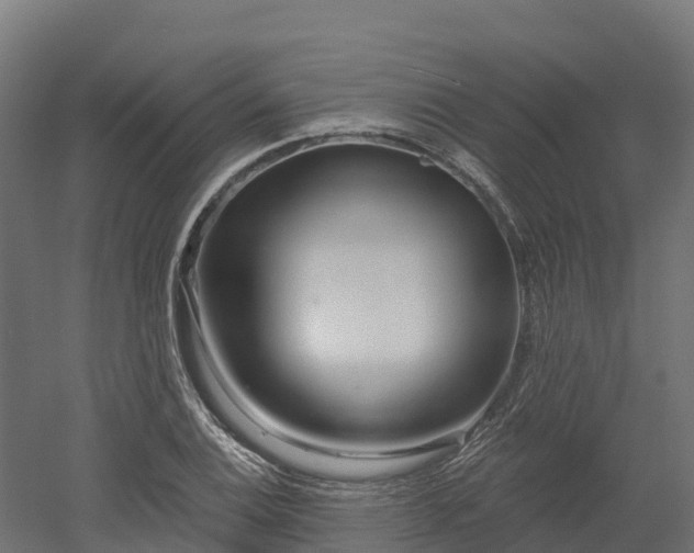 X0000052941124200507151636