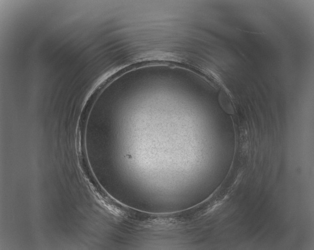 X0000052941125200507151636