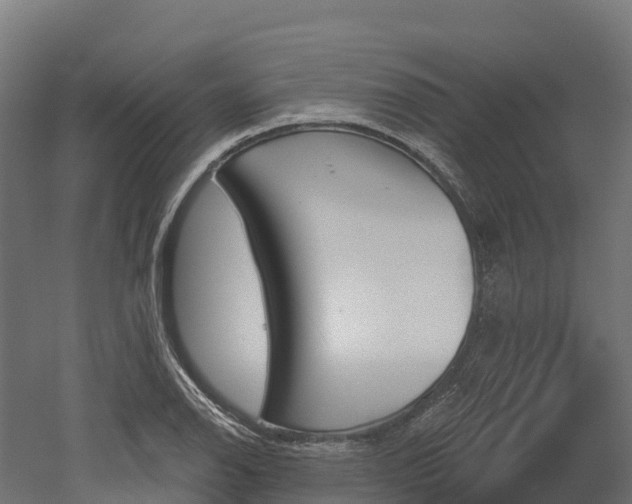 X0000052941126200507151636