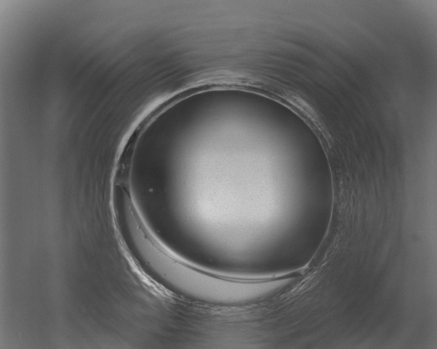 X0000052941128200507151636