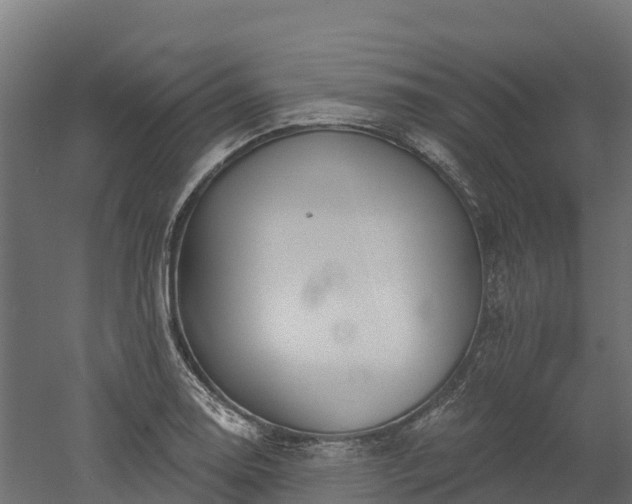 X0000052941130200507151636