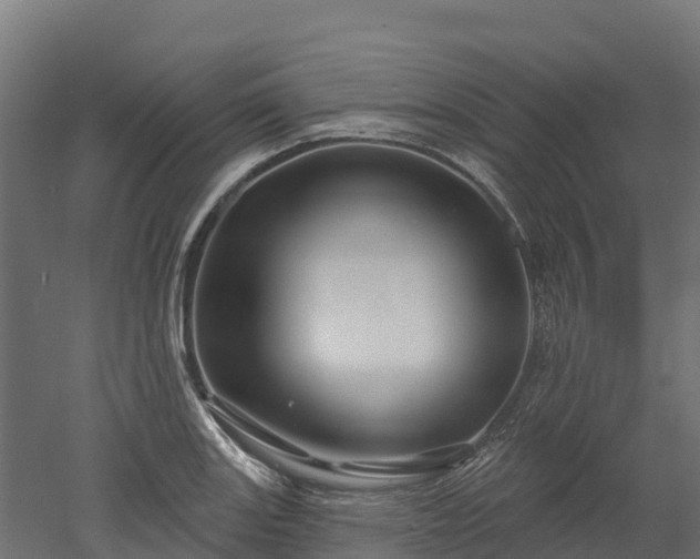 X0000052941131200507151636