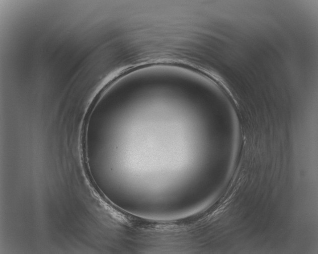 X0000052941142200507151636