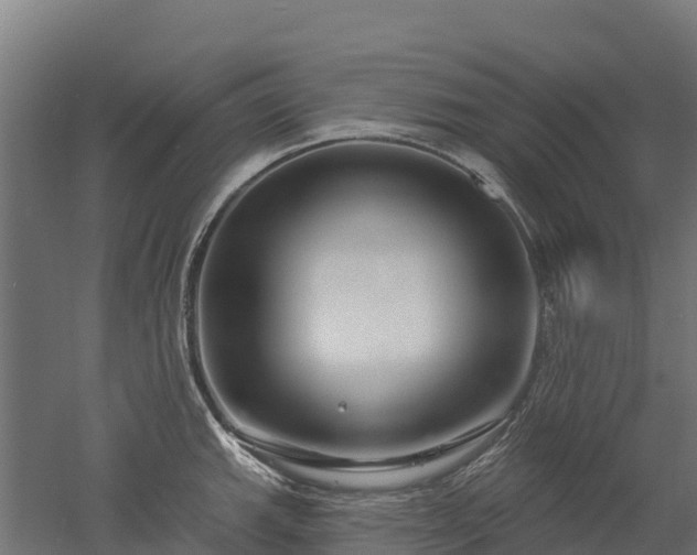 X0000052941143200507151636