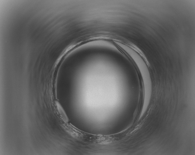 X0000052941146200507151636