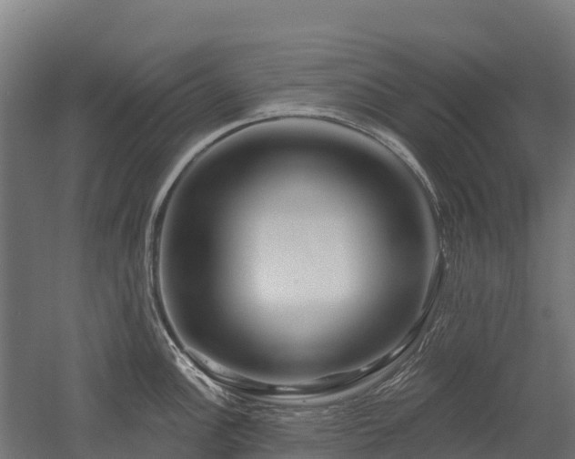 X0000052941148200507151636