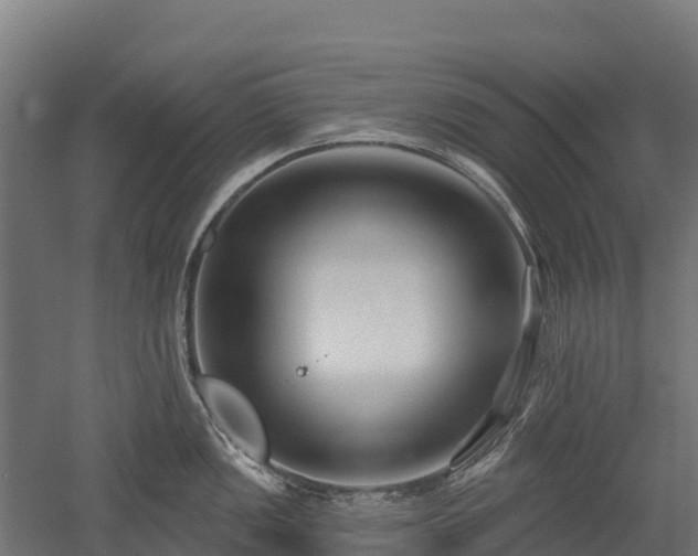 X0000052941149200507151636