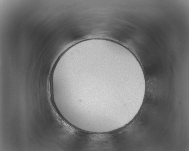 X0000052941150200507151636