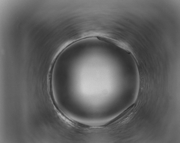 X0000052941151200507151636